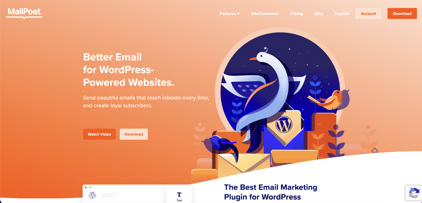 Image showing mailpoet website home page.