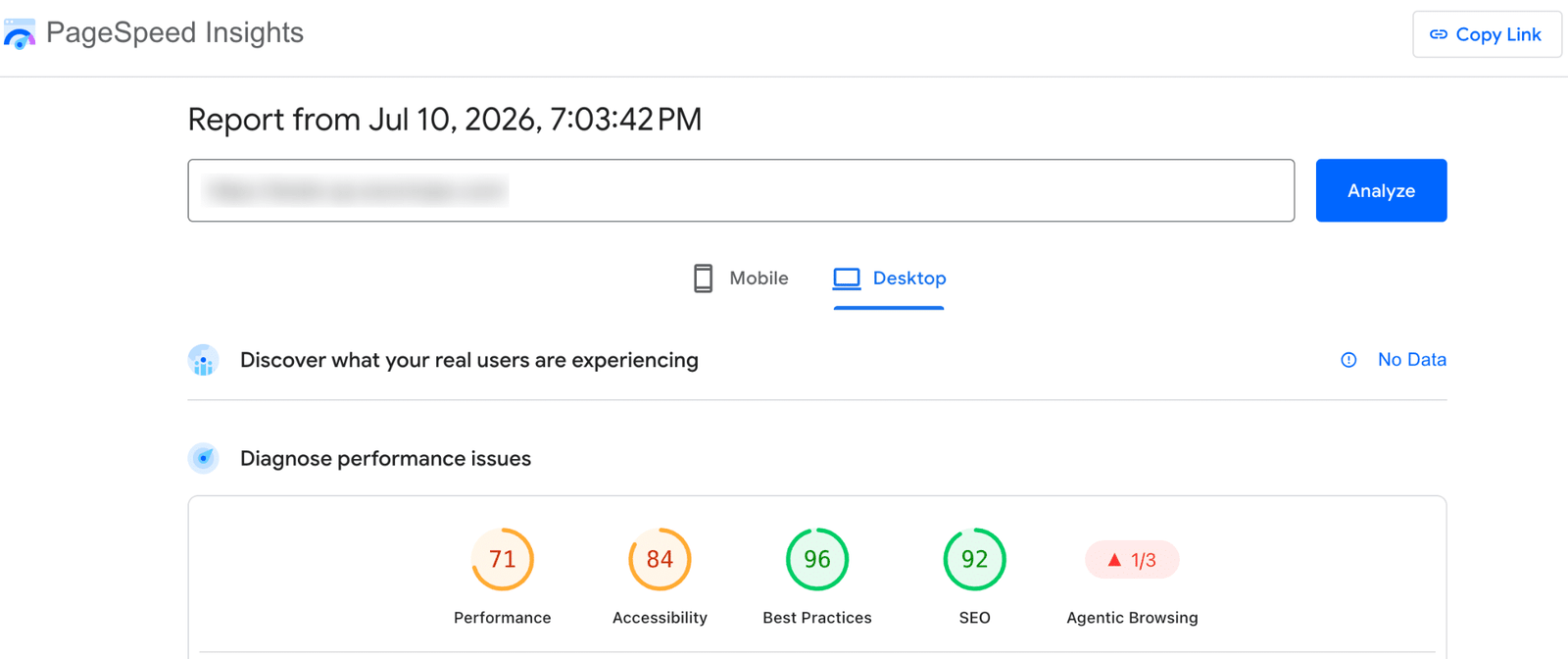Image showing pagespeed insights report.
