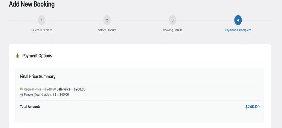 Final Pricing summary showing overview of manual bookings.