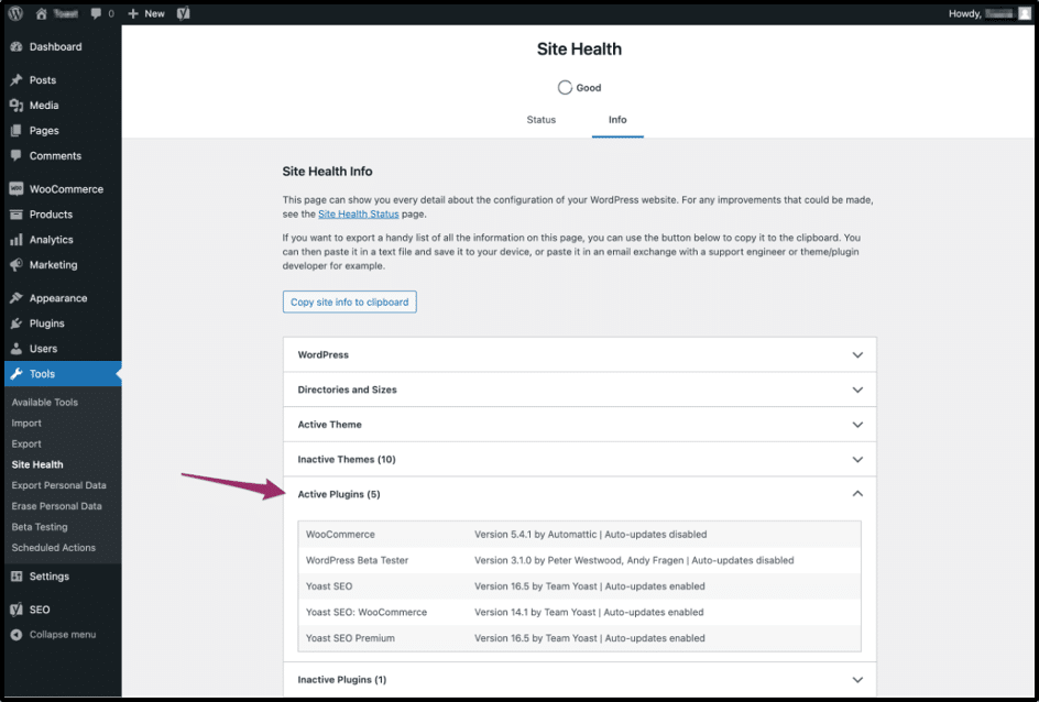 Image showing WordPress site health. 