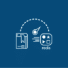 LearnDash Redis Object Cache